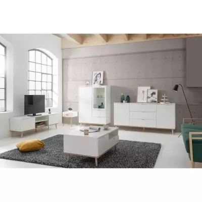 Meuble TV scandinave GÖTEBORG - Blanc - 2 Portes - Design élégant
