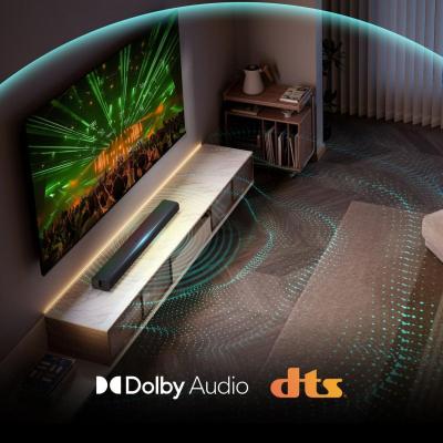 Hisense HS1000 Noir 2.0 canaux 120 W