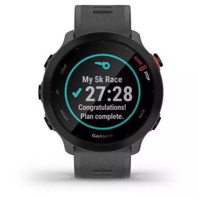 Montre connectée sport Garmin Forerunner 55 - Gris Monterra