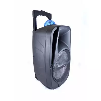 Enceinte Bluetooth 450W Karaoké Boule LED Multicolore