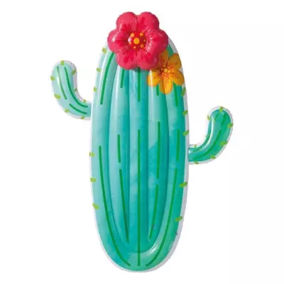 Matelas gonflable Intex Cactus - Fun et compact pour la piscine