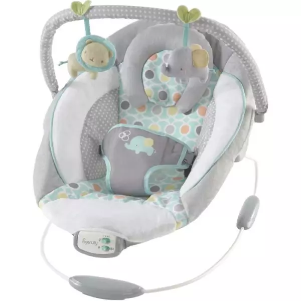 INGENUITY Transat bébé-Morrison- Arche avec jouets d'éveil amovible, 8 Mélodies, Vibrations apaisantes, Cale tete évolutif