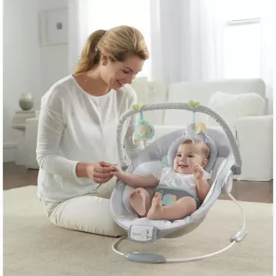 Transat bébé INGENUITY Morrison: Arche amovible, 8 mélodies