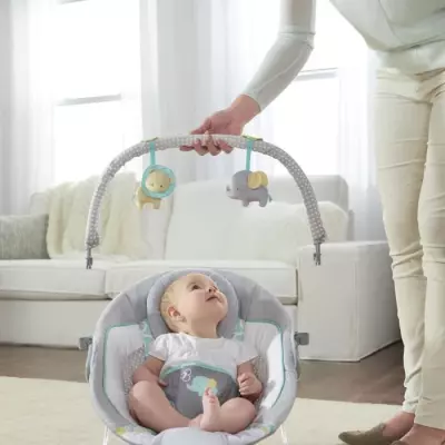 Transat bébé INGENUITY Morrison: Arche amovible, 8 mélodies