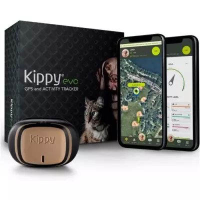 Collier GPS KIPPY Evo pour Chiens et Chats - Marron Bois