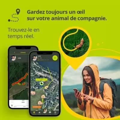 Collier GPS KIPPY Evo pour Chiens et Chats - Marron Bois