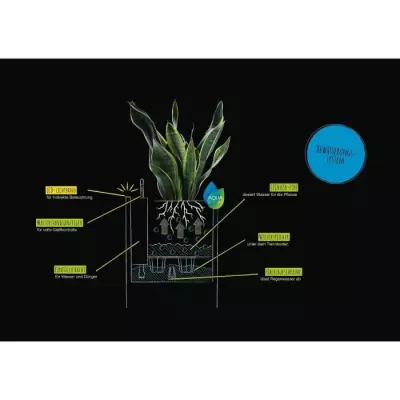 Pot de fleur LED LECHUZA Canto Stone Colonne 30 - gris pierre