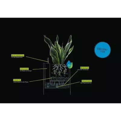 Jardinière Canto Color Square 40 Gris - Design élégant pour votre jardin