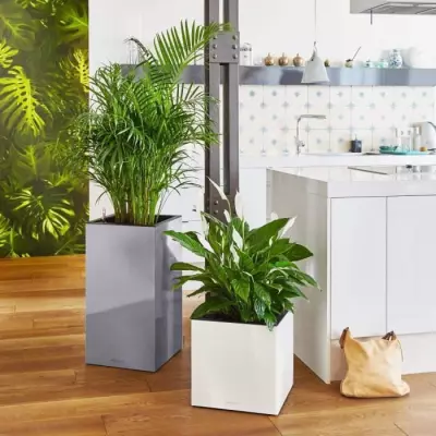 Pot de fleur LECHUZA Canto Premium Cube 40 - anthracite métallique, kit complet