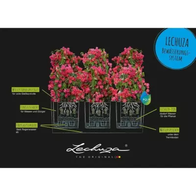 Pot de fleur LECHUZA Trio Cottage 30 - Kit complet gris clair