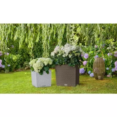 Pot de fleur LECHUZA Cube Cottage 50 - kit complet, gris clair