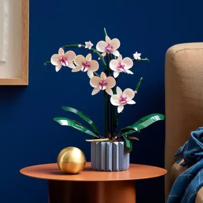 Embellissez votre intérieur avec ces Orchidées LEGO Icons 10311