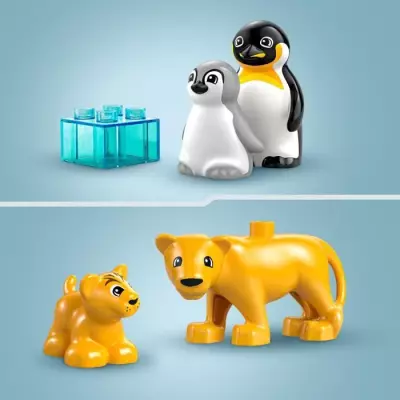 LEGO DUPLO Ma ville 10442 : Familles d'animaux sauvages - Pingouins et lions
