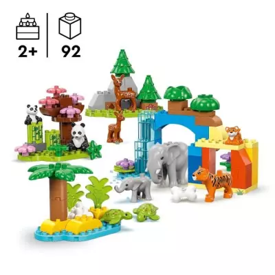 Découvrez LEGO DUPLO Ma ville 10446 Familles d'animaux sauvages 3-en-1