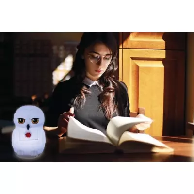 Veilleuse 3D Edwige Harry Potter - Lumiere couleur - LEXIBOOK