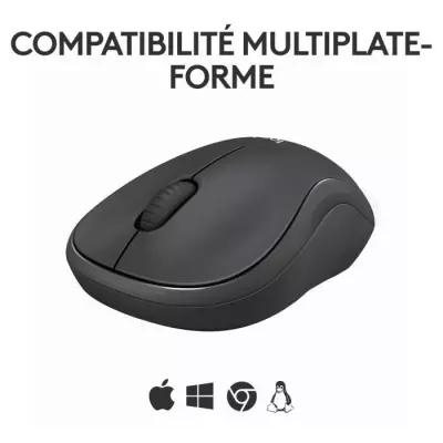 Souris sans fil Logitech M240 Graphite - Compacte et ergonomique