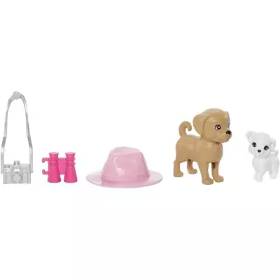 Barbie-Coffret Poupées Stacie et Barbie avec 2 chiots et accessoires HRM09