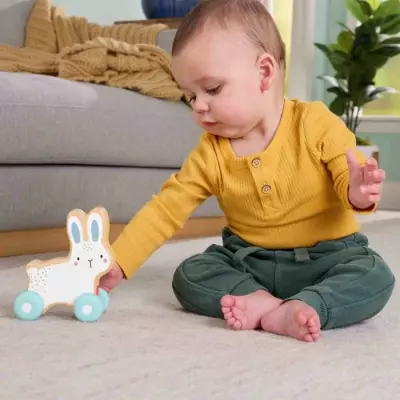 Jouet en bois: Lapin à pousser - Dimensions compactes 