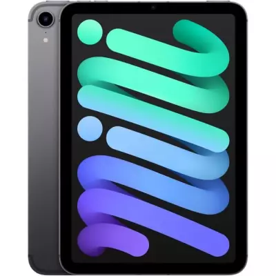 iPad mini (2021) - 8,3 WiFi + Cellulaire - 256 Go - Gris Sidéral - Compact et Puissant