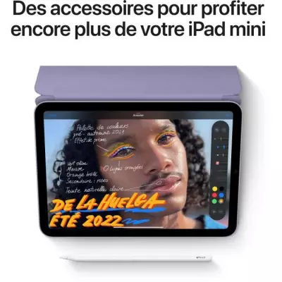 iPad mini (2021) - 8,3 WiFi + Cellulaire - 256 Go - Gris Sidéral - Compact et Puissant