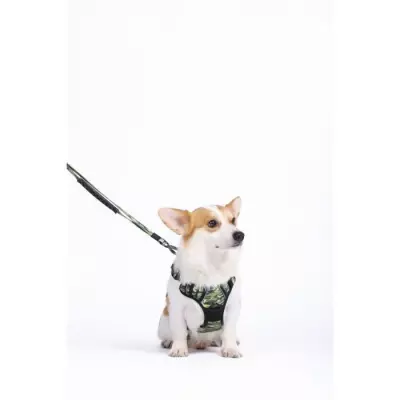 Harnais M PETS Hiking Camouflage - Pratique et sûr!
