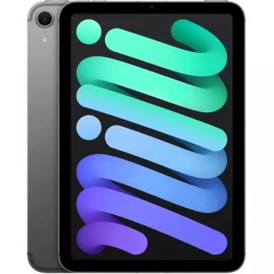 iPad mini 2024 - 8.3'' WiFi + Cellular 128Go Gris Sidéral