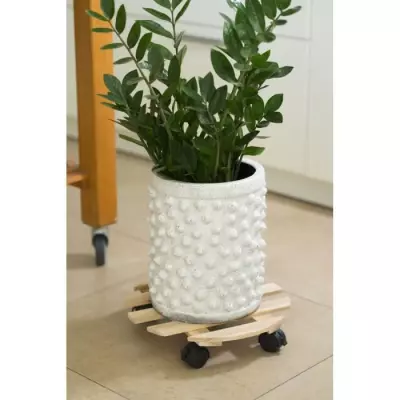 Tablette à roulettes pour plantes - Sapin - Déplacez vos plantes avec style