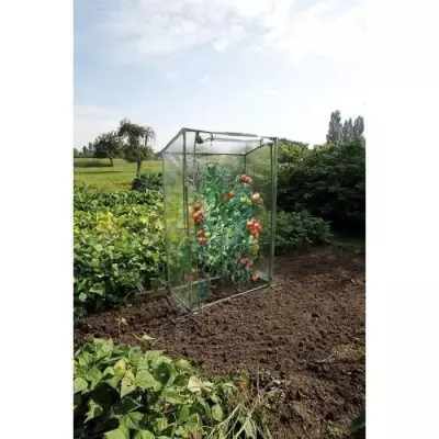 Serre à tomates compacte 100x50x150 cm