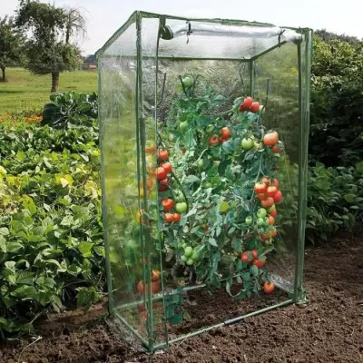Serre à tomates compacte 100x50x150 cm