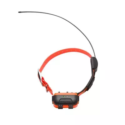Collier Canicom GPS NUM'AXES 2-en-1: localisation et éducation - idéal pour la chasse