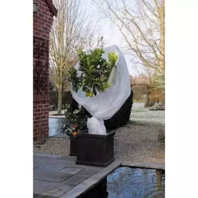 Nature Couverture polaire d'hiver 30 g/m² Blanc 2x10 m - Protection pour Culture