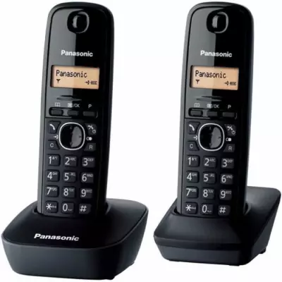 Téléphone Numérique Sans Fil Panasonic KX-TG1612FRH | Pack Base + 2 Combinés