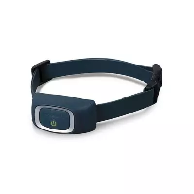 Ajoutez de la portée avec ce Collier pour Systèmes d'Aide à l'Éducation