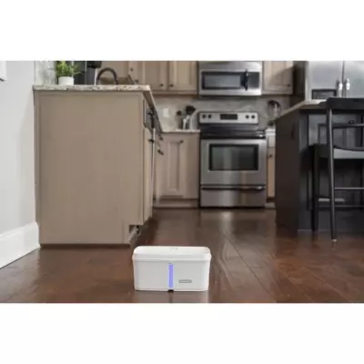 Fontaine à eau PETSAFE VIVA 4,1L Blanc - Idéale pour vos animaux