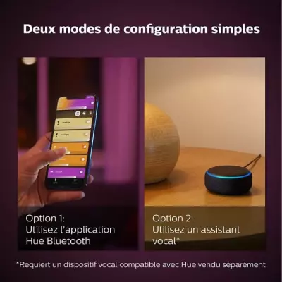 Philips Hue LightStrips 1m V4 - Contrôle vocal avec Alexa, Google Assistant et Apple Homekit