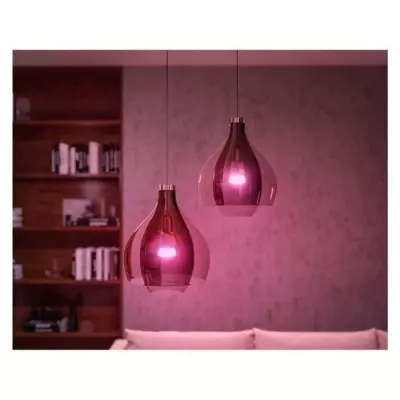 Philips Hue Kit démarrage : 2 ampoules LED connectées blanches 10,5W + Télécommande Hue