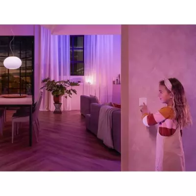 Interrupteur mural Philips Hue - Blanc - Compatible Alexa, Google Assistant et Apple Homekit