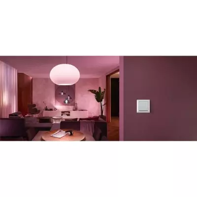 Interrupteur mural Philips Hue - Blanc - Compatible Alexa, Google Assistant et Apple Homekit