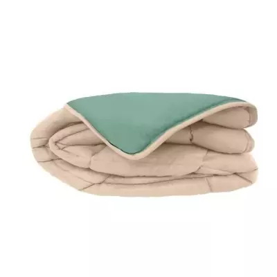 Couette Microfibre 400g/m² POYET MOTTE - 140 x 200 cm - Gris galet et Vert lac Couette Microfibre 400g/m² POYET MOTTE - 140 x 200 cm - Gris galet et Vert lac