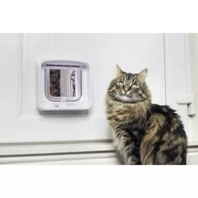 Chatière connectée SureFlap: Porte pour chat avec puce électronique