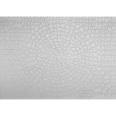 Puzzle 654 pièces Krypt Silver Ravensburger - Défi monochrome