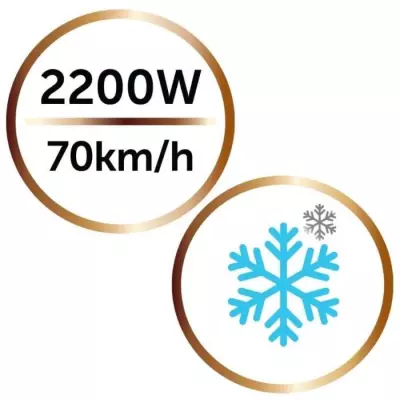 Sèche-cheveux Remington D6098 - 2200W Ionique - Brillance Naturelle et Colorée