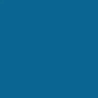 Peinture Ripolin Protection Bois Bleu Ocean RAL 5 - 2,5 L