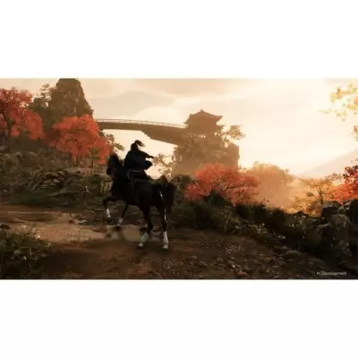 Rise of the Ronin - Jeu PS5 | Dimensions du colis: 14x17x2 cm