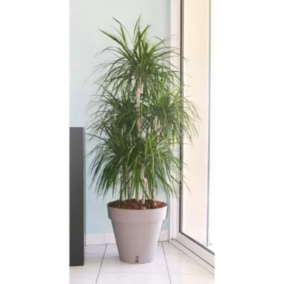 Pot de fleurs Loft avec réserve d'eau - Made in France