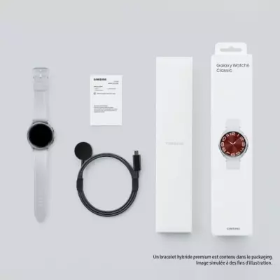 Montre Samsung Galaxy Watch6 Classic 43mm Argent 4G - Connectée & Intelligente
