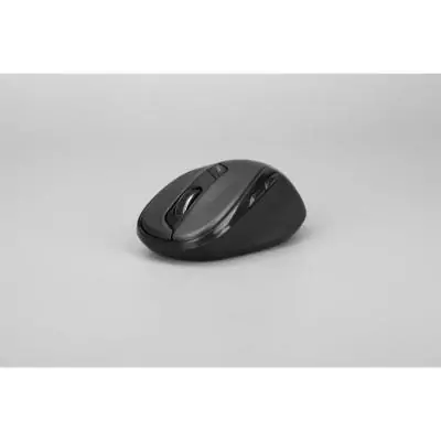 Souris - Sans fil - Rapoo - M500 Silent - Noir