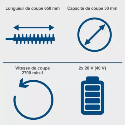Taille-haie sans fil 65cm - SCHEPPACH 20V IXES