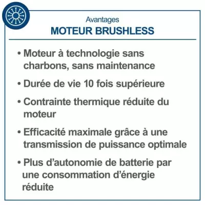 Taille-haie sans fil 65cm - SCHEPPACH 20V IXES