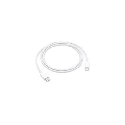 Câble USB-C vers Lightning (1?m) Apple original